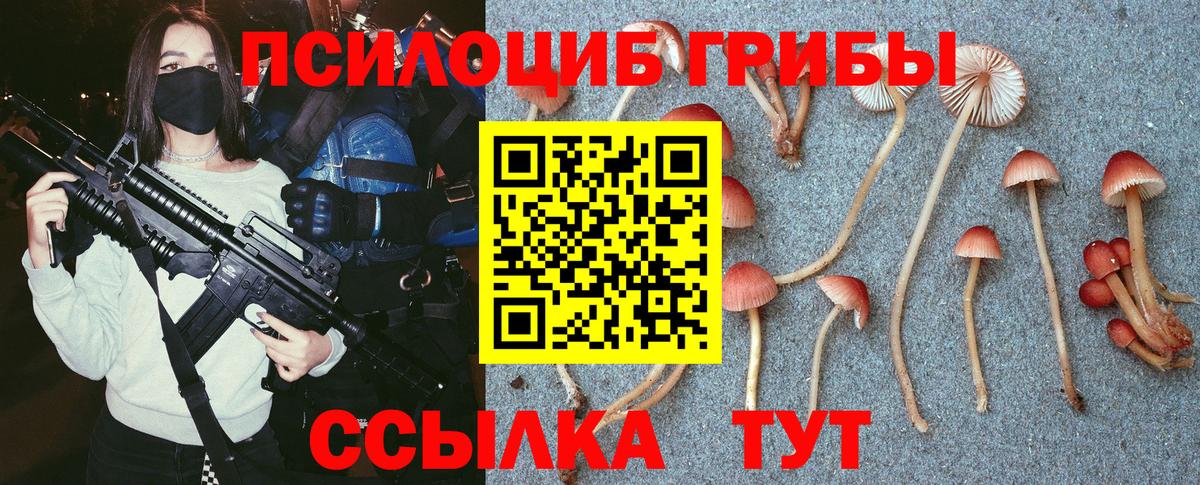 Сибай  Галлюциногенные грибы Magic Shrooms  продажа наркотиков  Вход с VPN  Галлюциногенные грибы ЛСД 