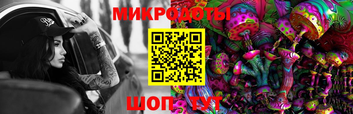 Псилоцибиновые грибы GOLDEN TEACHER Сибай